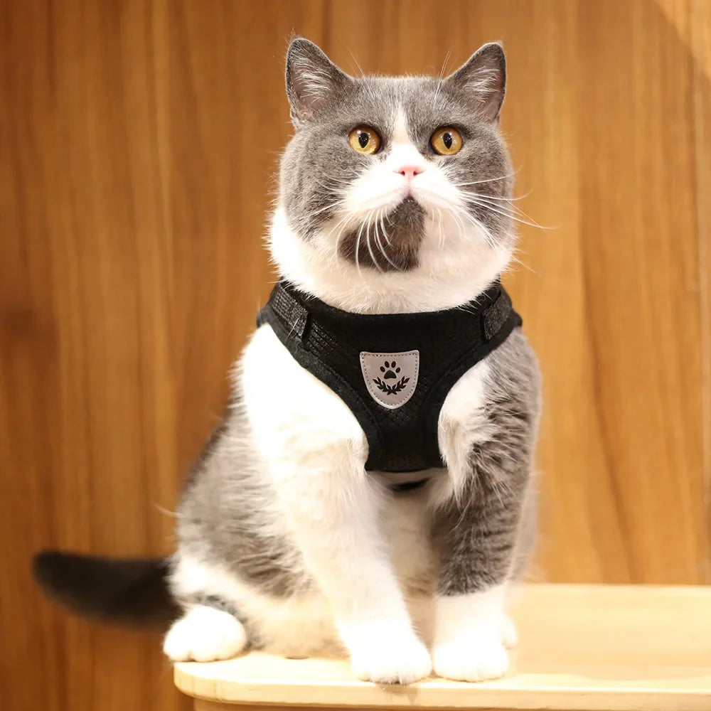 Ensemble harnais et laisse anti-évasion pour animaux de compagnie – Gilet en maille réfléchissante pour chats et petits chiens