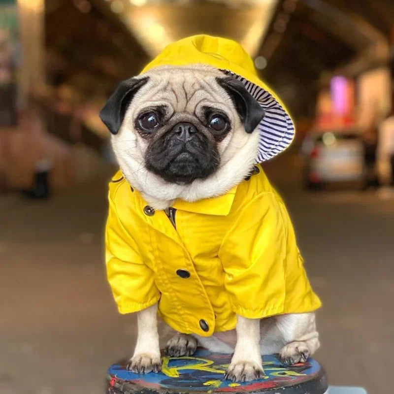 Waterproof Striped Raincoat for Dogs