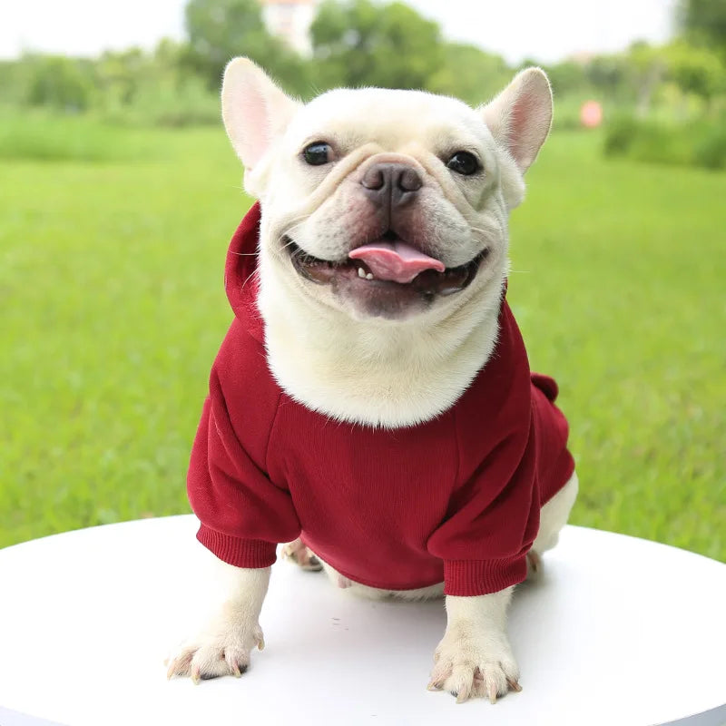 Manteau à capuche en polaire pour chien | Veste sweat chaude d'automne et d'hiver pour petits chiens et chats