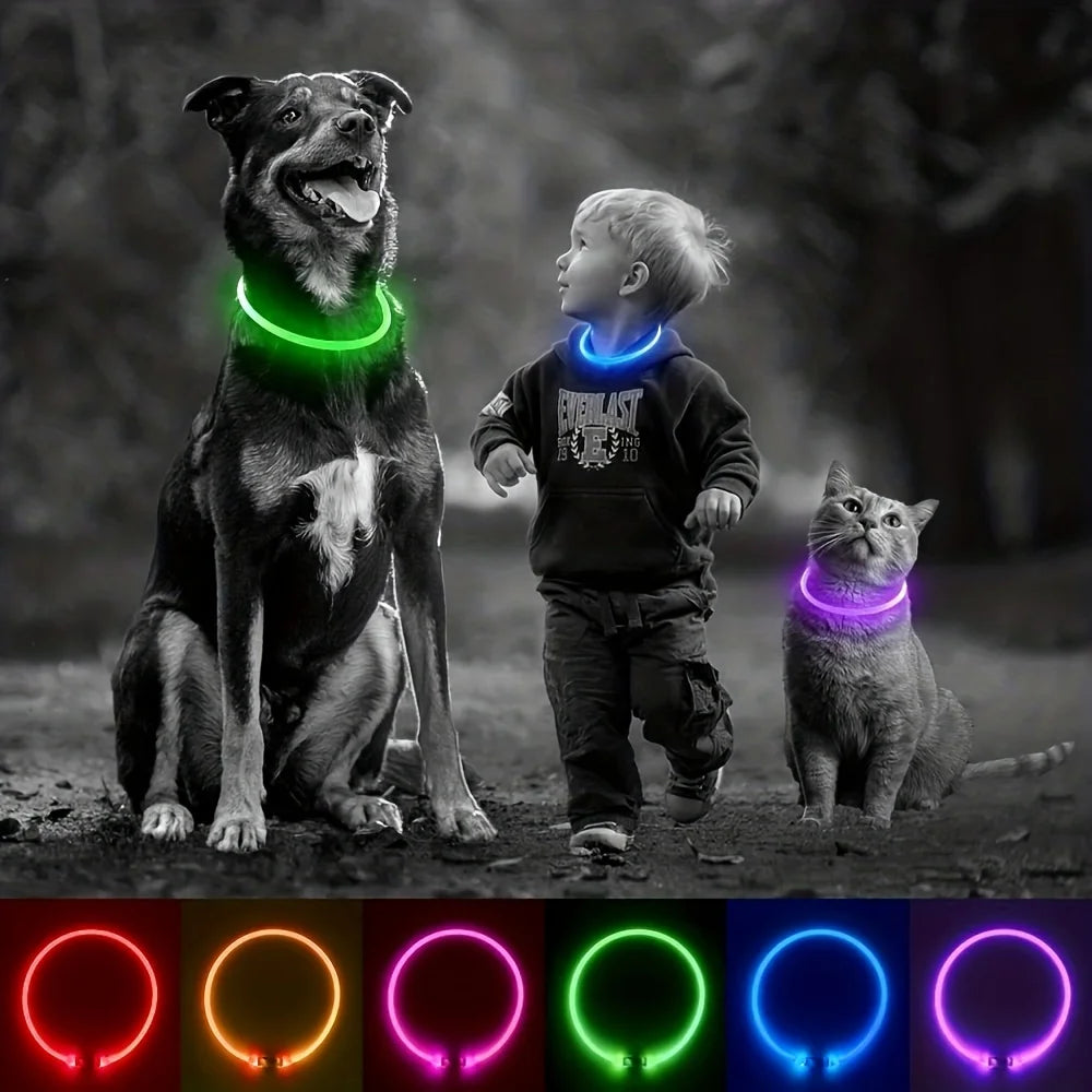 Collier lumineux LED pour chien - Collier de sécurité rechargeable par USB pour une visibilité nocturne