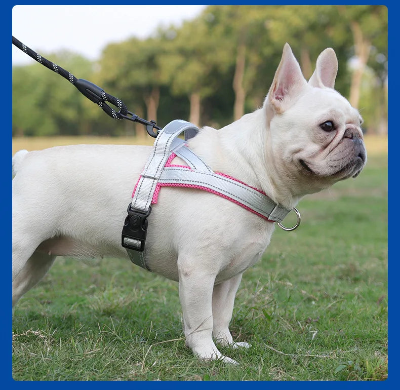 Saddle-Style Padded Dog Harness Vest