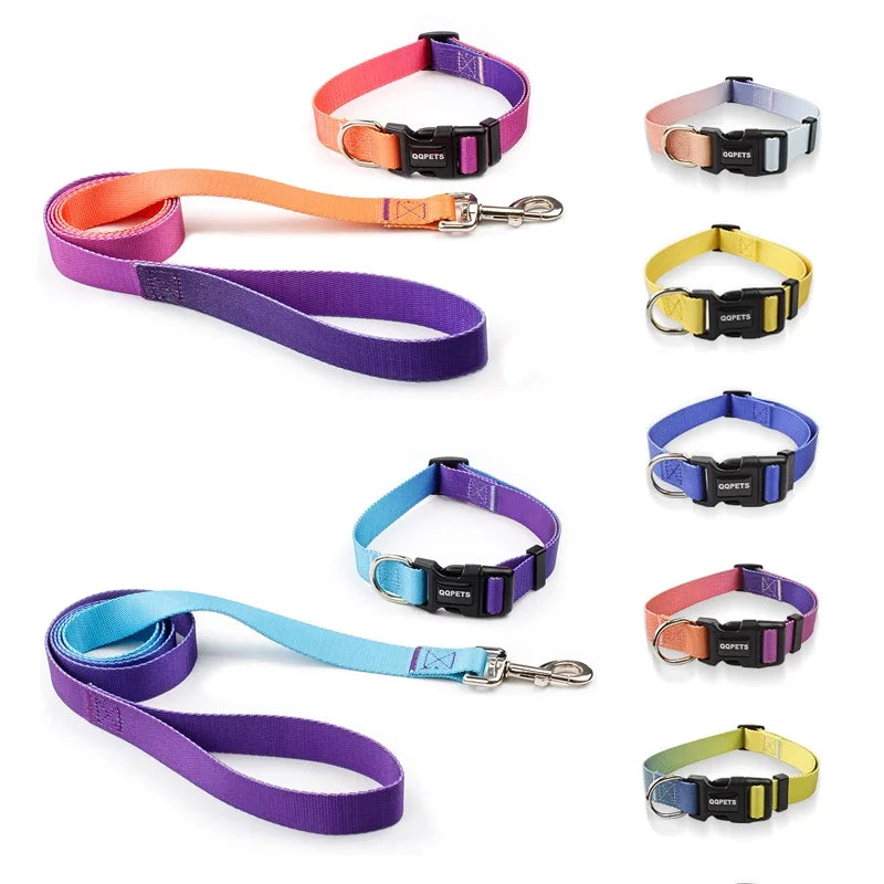 Ensemble laisse et collier réglables en nylon pour chiens - Pour petits et grands chiens