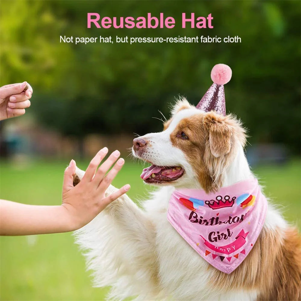 Dog Birthday Party Decoration Kit