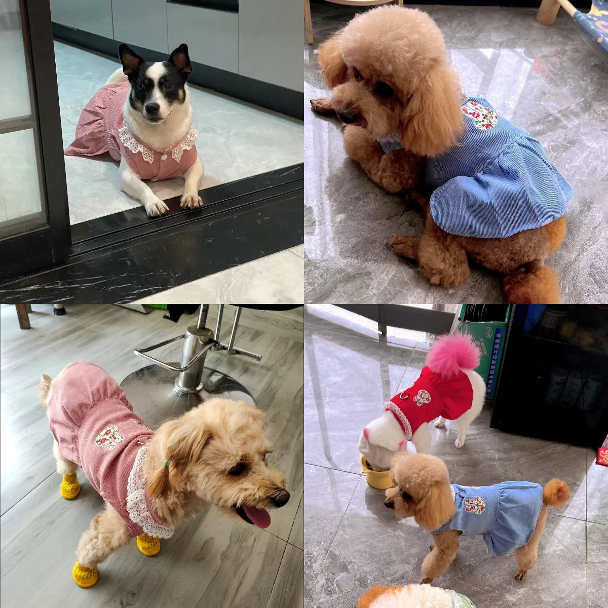 Robe et Jupe de Mariée de Princesse pour Petits Chiens et Chats