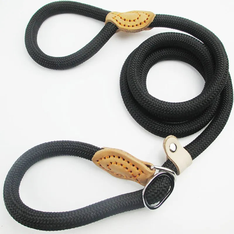 Laisse-collier chien - Corde tressée robuste avec boucle réglable pour grands chiens