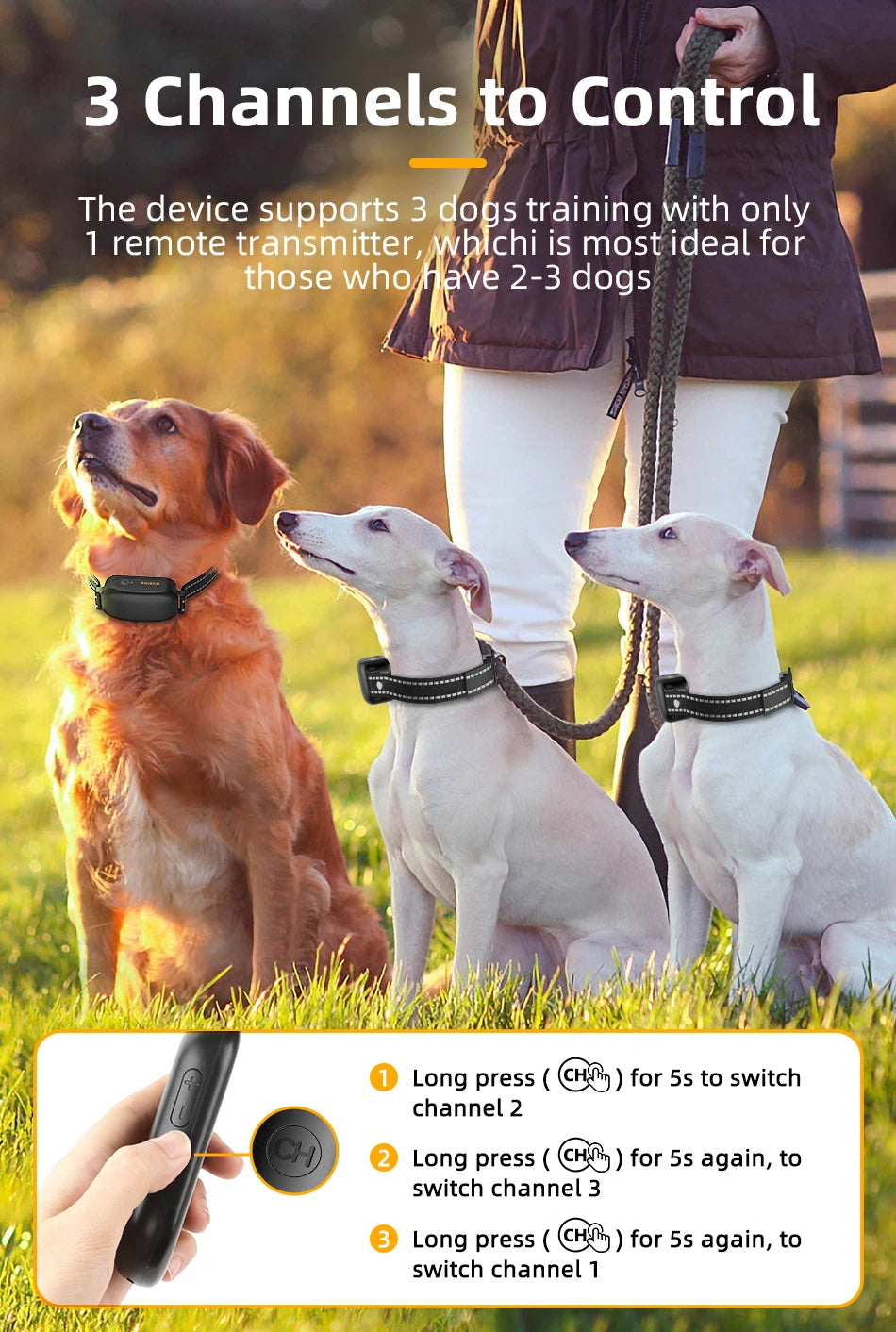 Remote Dog Training Collar — 3300ft Range, Waterproof with Vibration & Bark Control