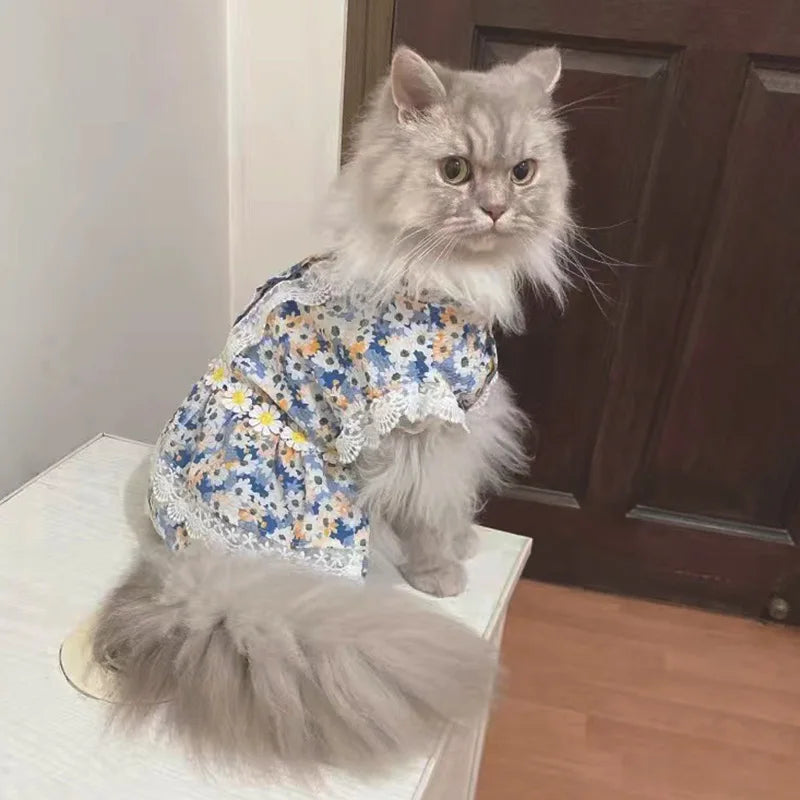 Lace Flower Princess Dress for Cats & Small Dogs
