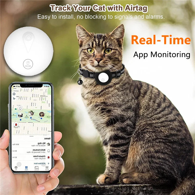 Pet Locator Tag with Optional Collar