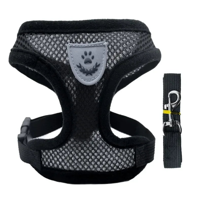 Harnais anti-évasion pour chat et chien avec laisse - Gilet en maille réglable pour la promenade