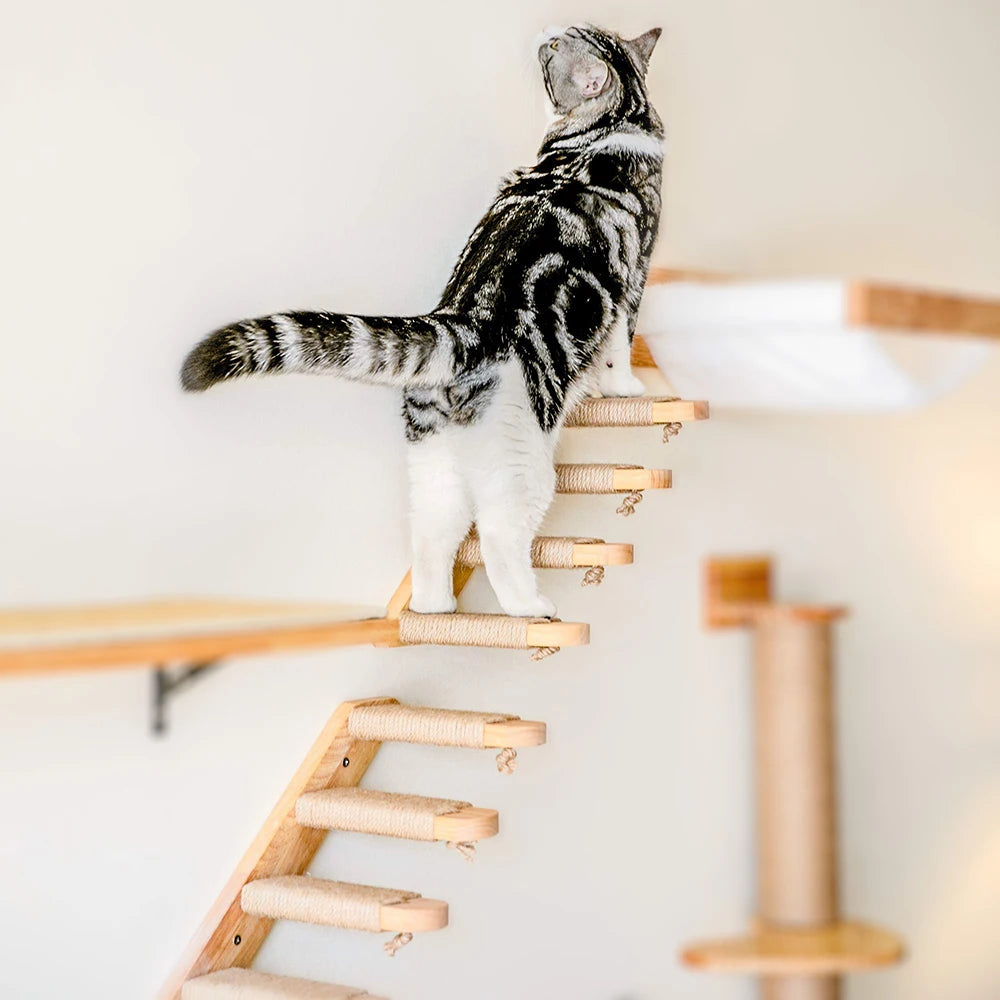 Wall-Mounted Wooden Cat Climbing Steps with Sisal
