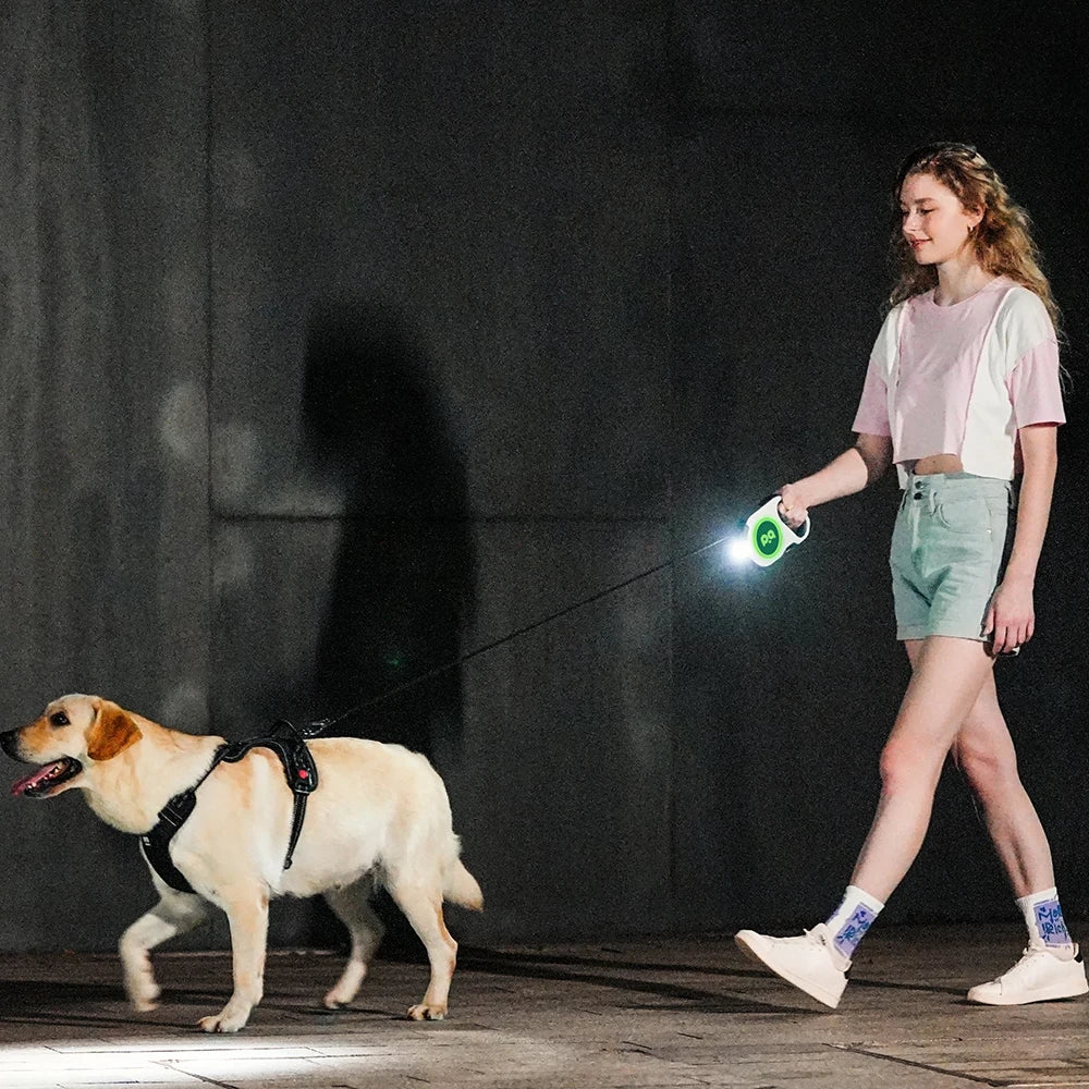 LED Retractable Dog Leash | 5M Rechargeable Light-Up Leash