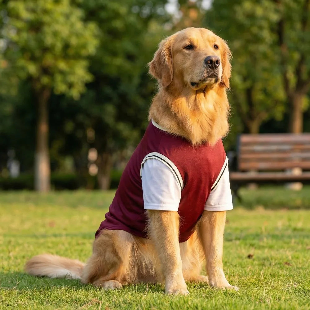 Gilet rafraîchissant en polyester respirant pour chiens | Haut d'été doux pour chiens de taille moyenne et grande
