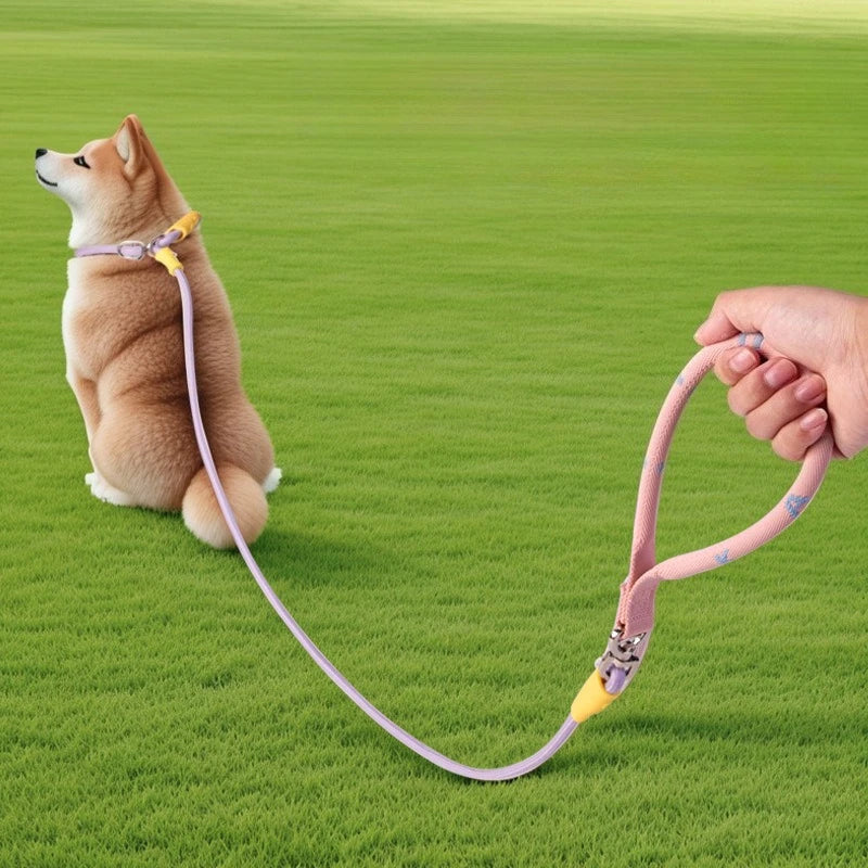 Laisse et collier combinés en nylon pour petits chiens