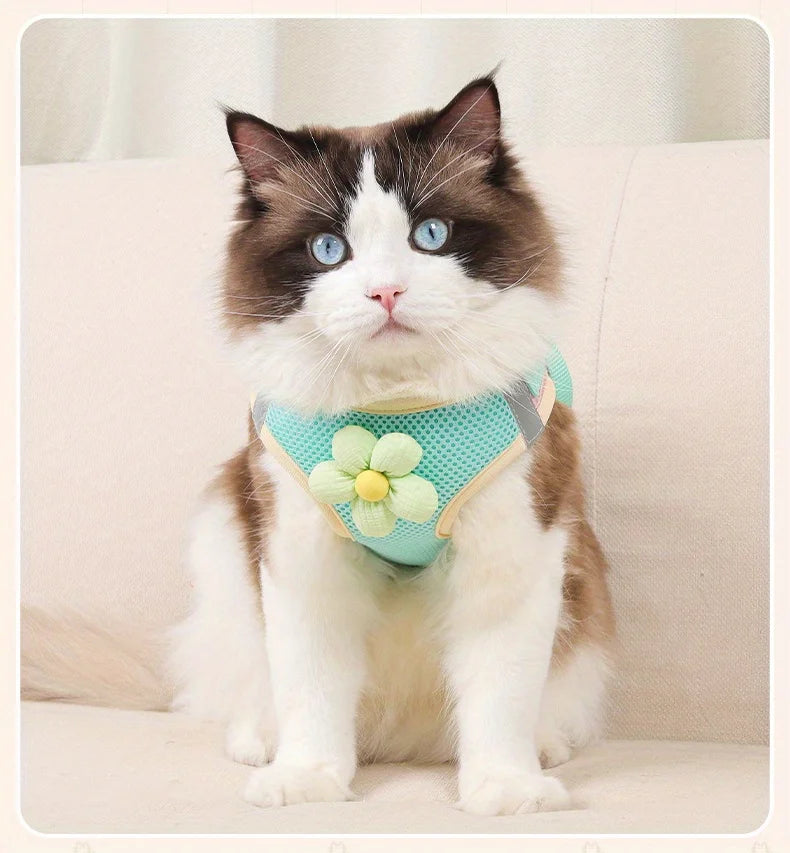 Breathable Mesh Pet Harness and Leash Set