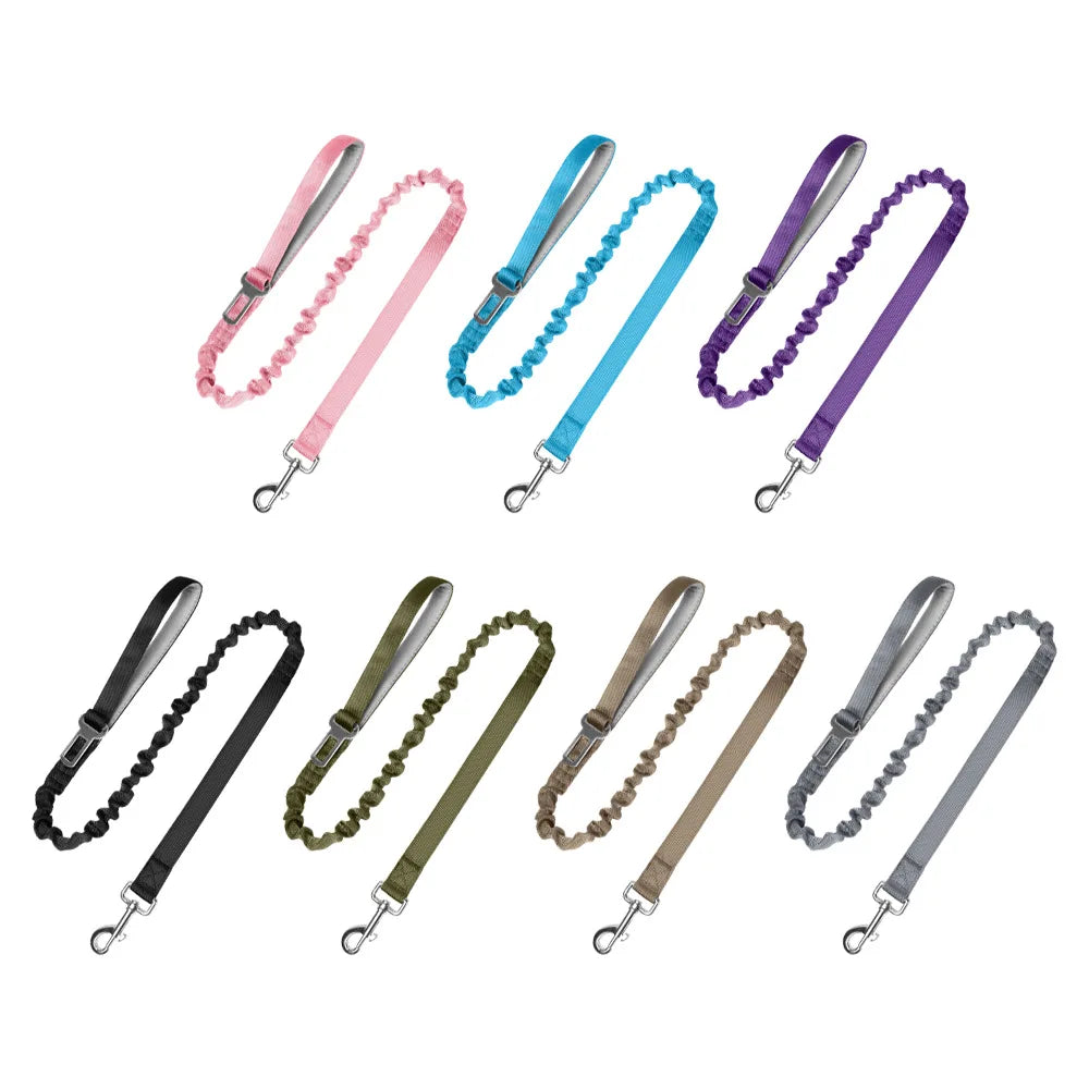 Heavy-Duty Bungee No-Pull Training Leash for Large Dogs