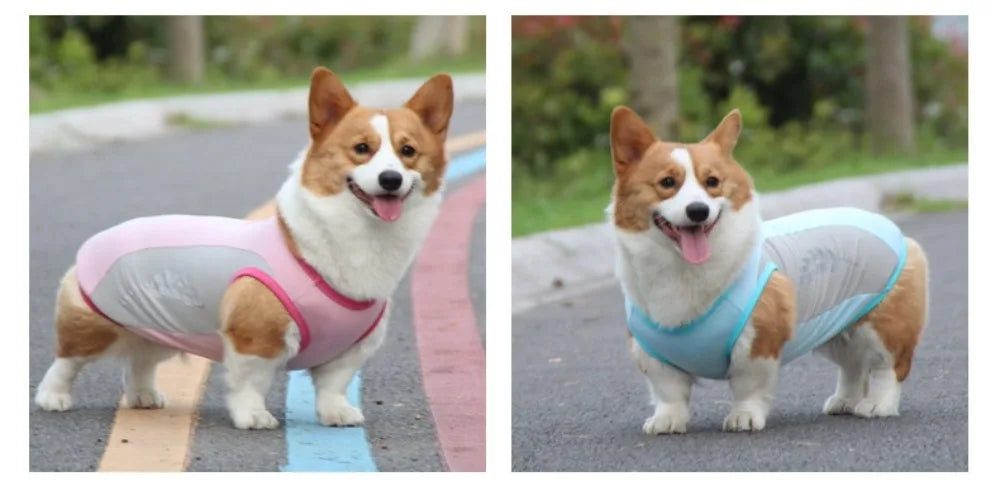 Reflective Cooling Vest for Dogs & Cats