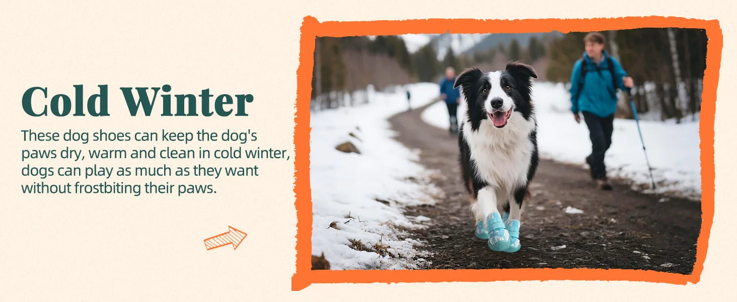 Bottes antidérapantes respirantes pour chiens toutes saisons