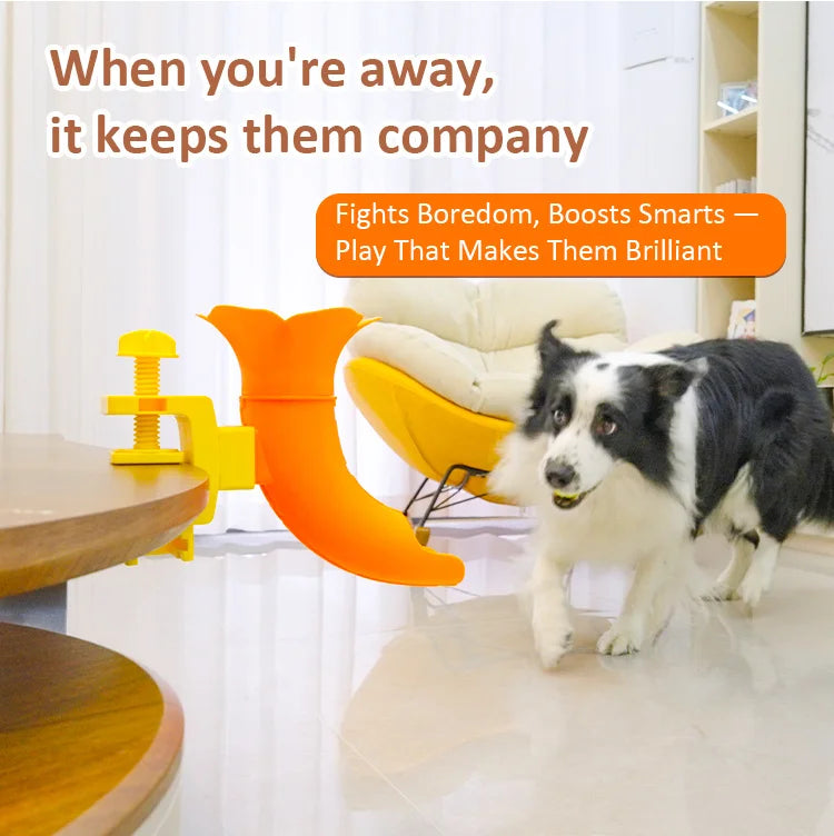 Table-Clip Dog Ball Return Toy