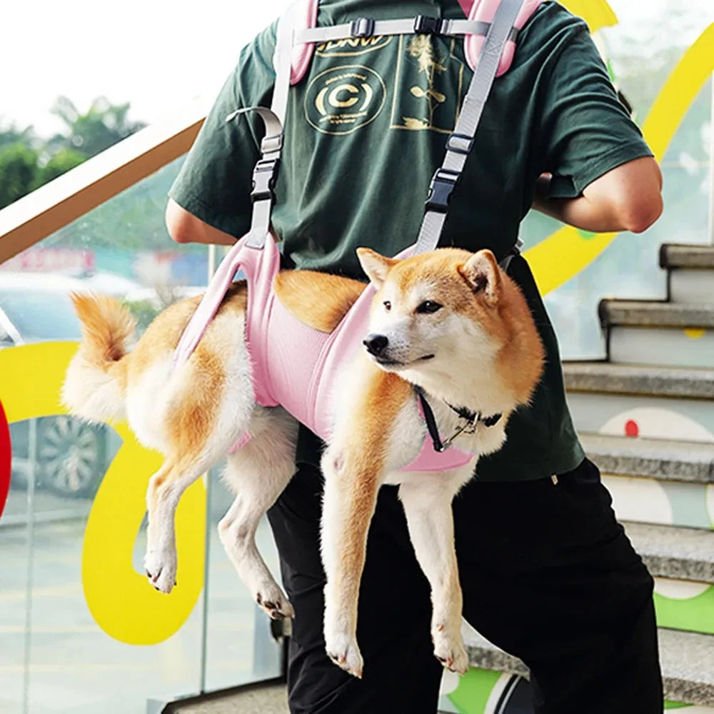 Sac à dos et sac de transport pour animaux de compagnie - Chiens et chats
