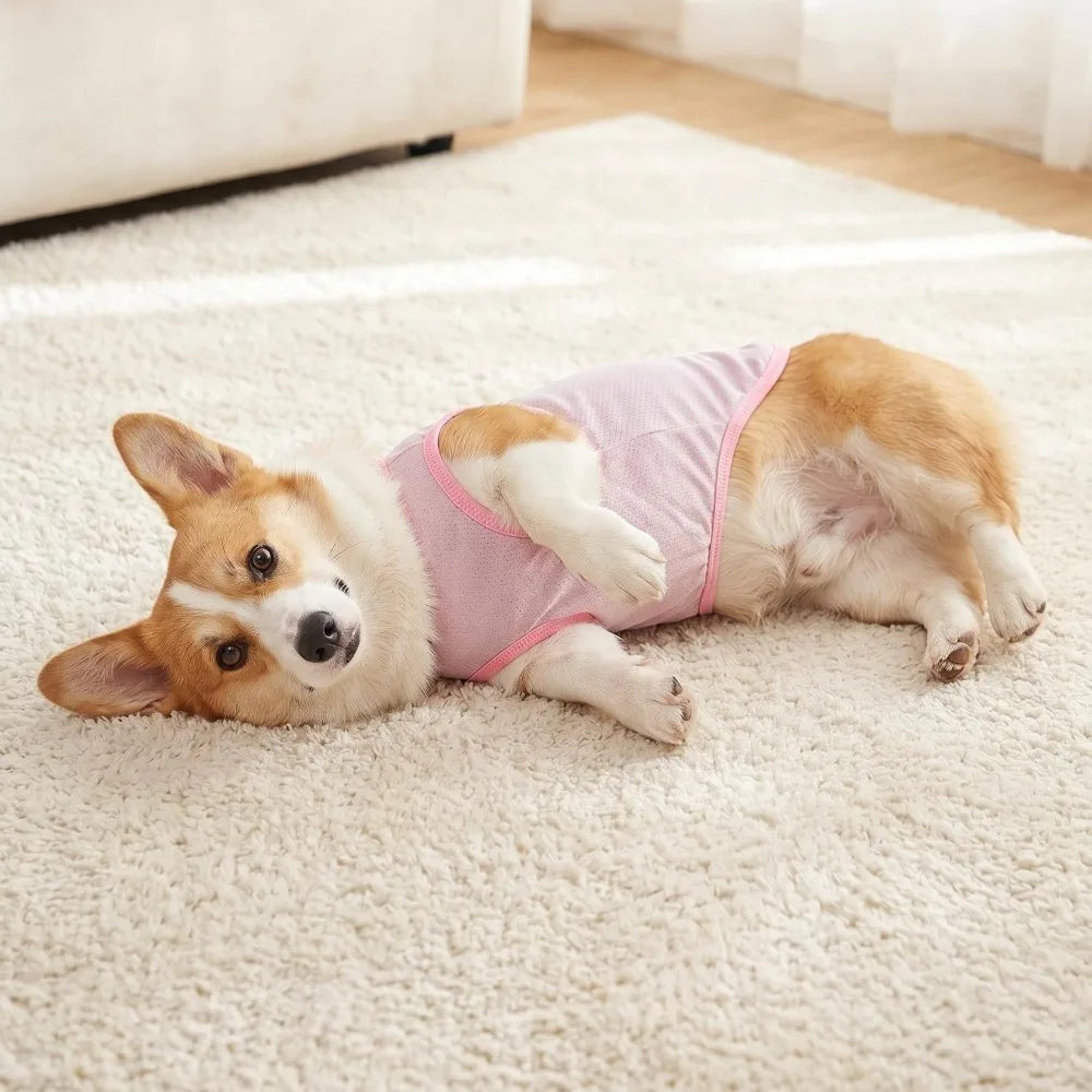 Breathable Mesh Cooling Vest with D-Ring for Small Dogs