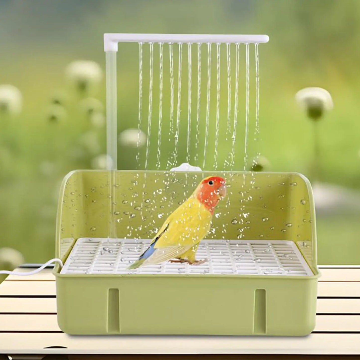 Automatic Bird Bath Fountain with USB Pump for Parrots & Cage Birds