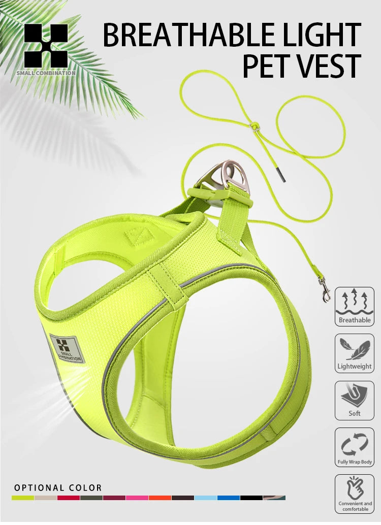 Reflective Dog & Cat Harness with Leash Set