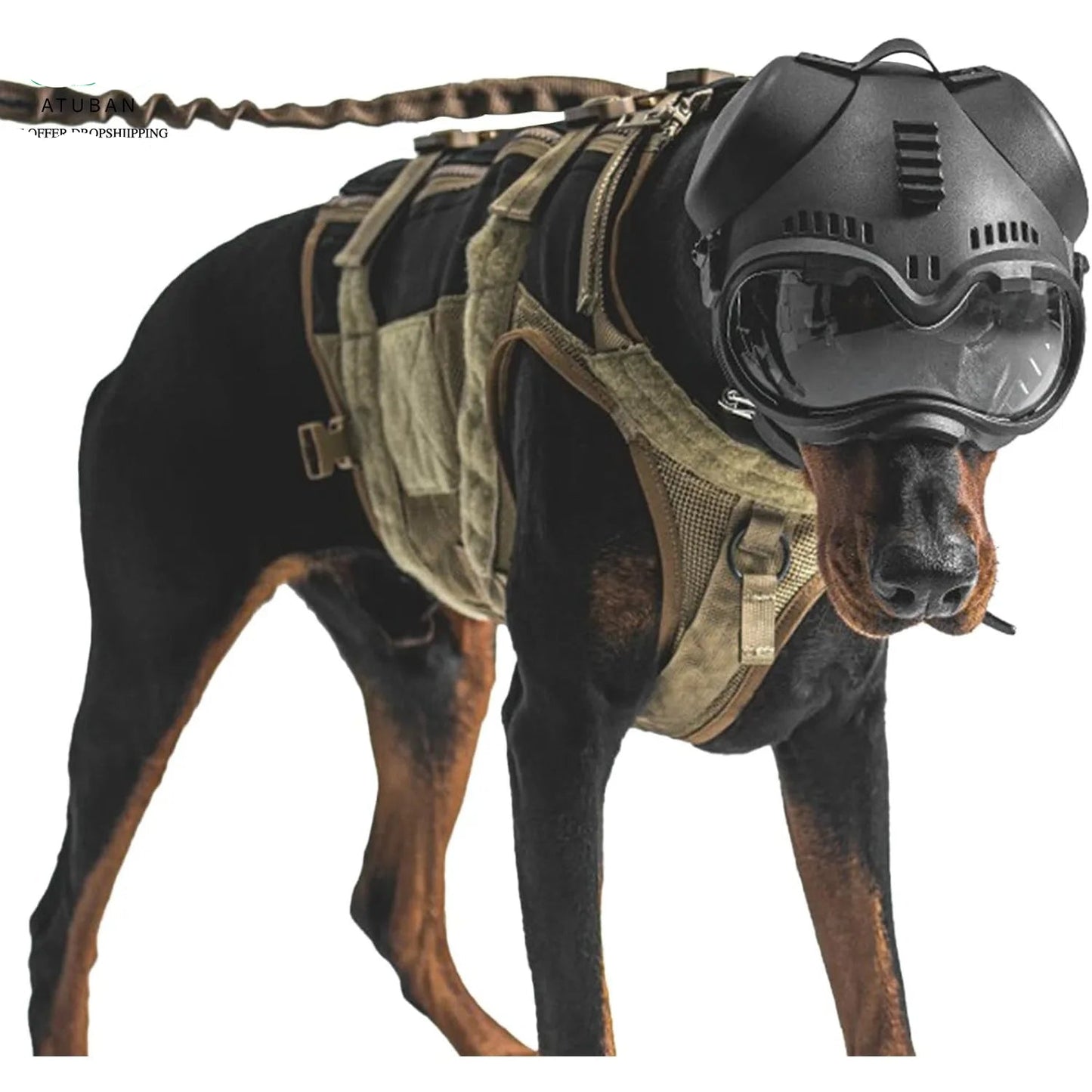 2-in-1 Tactical Dog Helmet with Detachable Goggles for Small & Medium Dogs