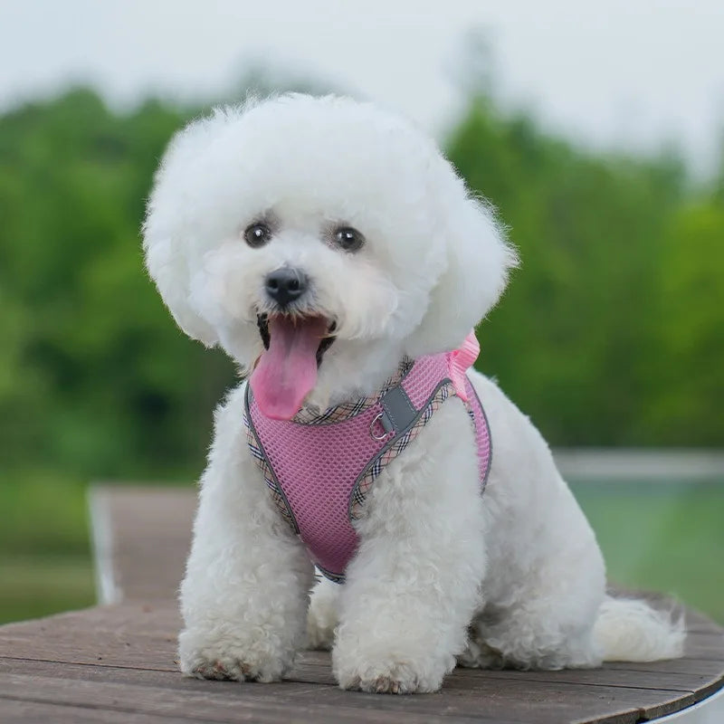 Gilet Tactique pour Chien avec Sangle de Poitrine - Harnais Robuste pour Animaux de Compagnie