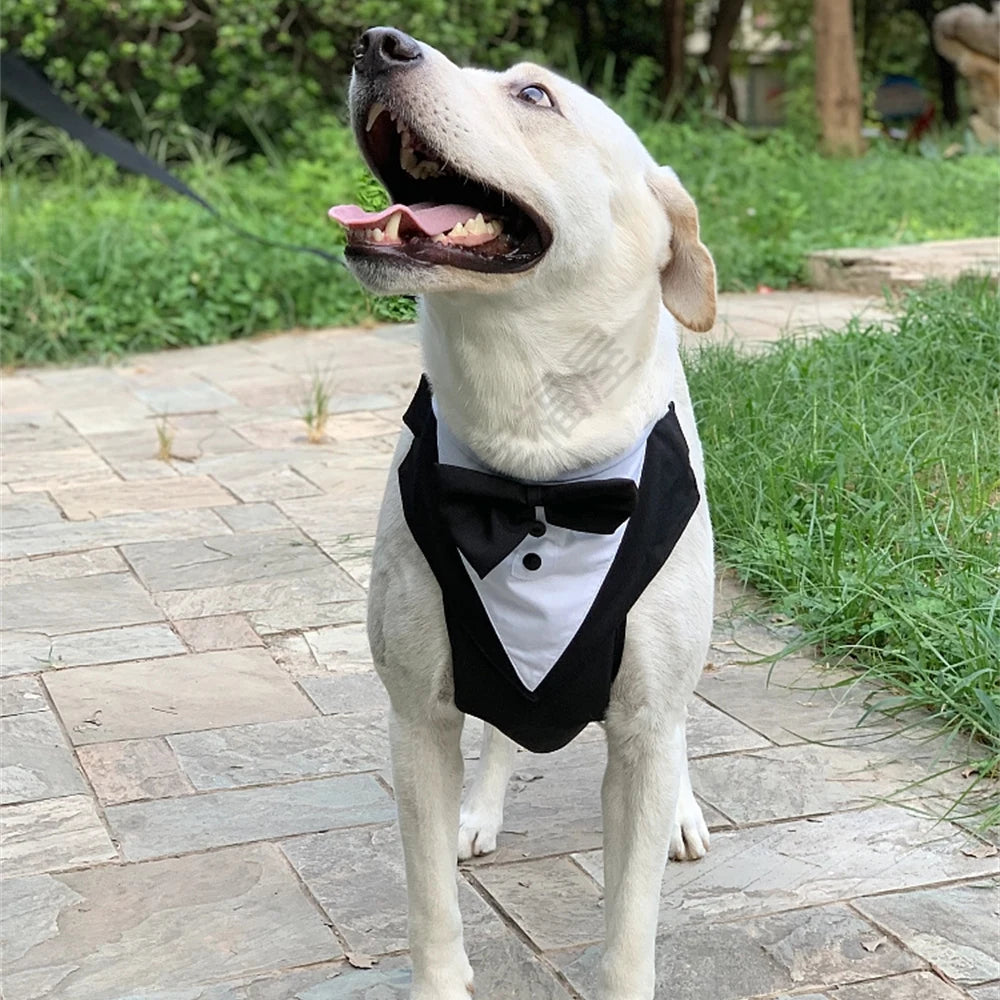 Tuxedo Dog Harness Vest with Bow Tie & D-Ring