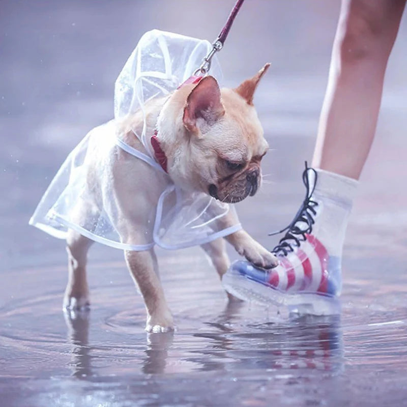Transparent Waterproof Raincoat for Small & Medium Dogs
