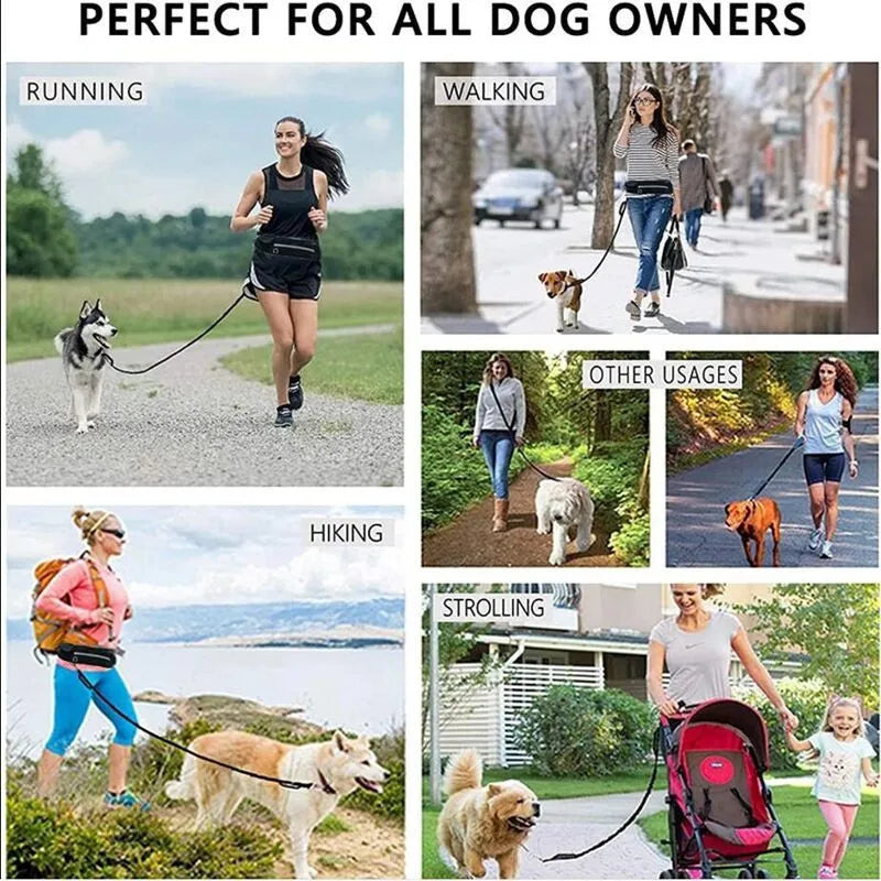 Laisse pour chien mains libres avec ceinture réfléchissante et pochette de rangement