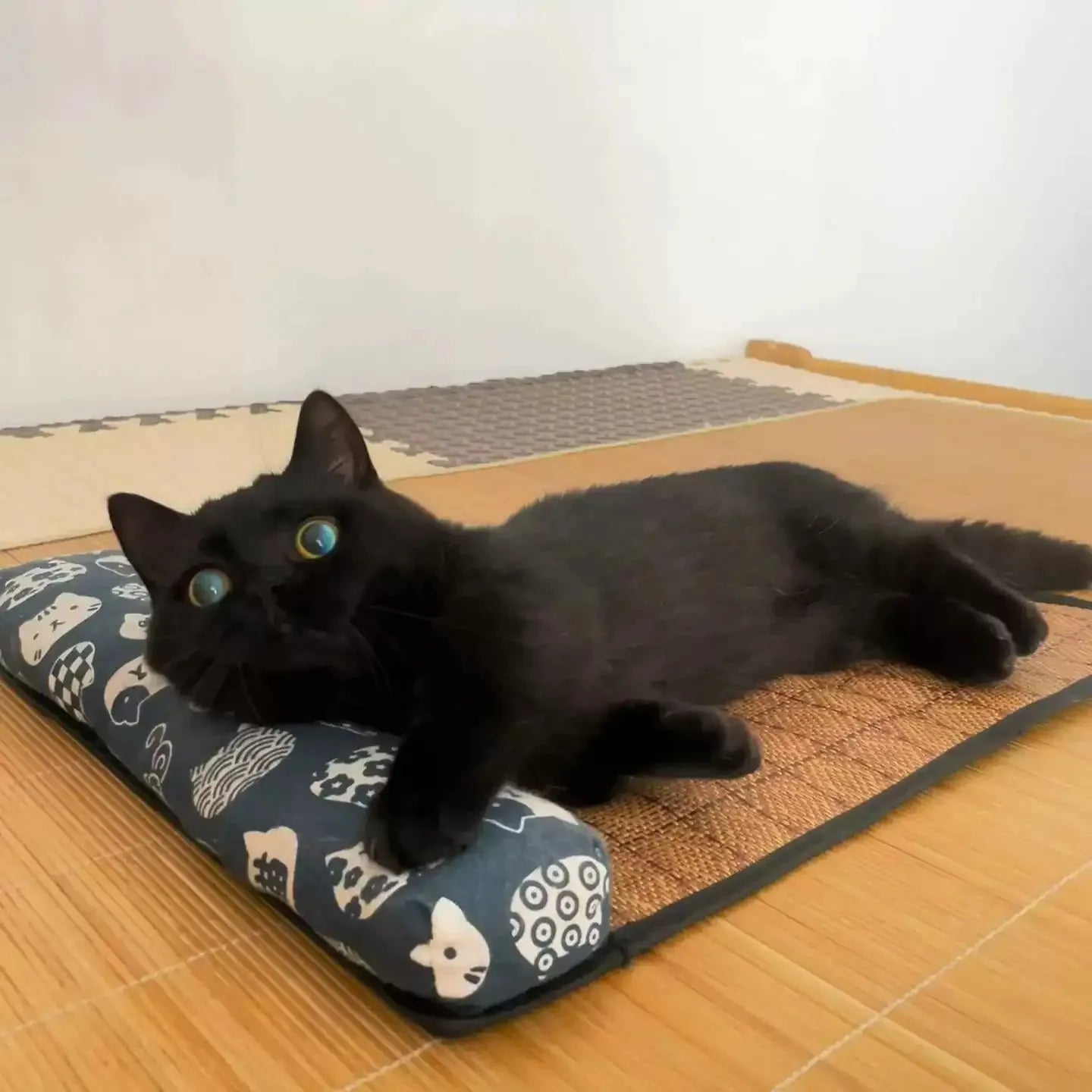 Lit rafraîchissant pour animaux de compagnie - Chats et Chiens