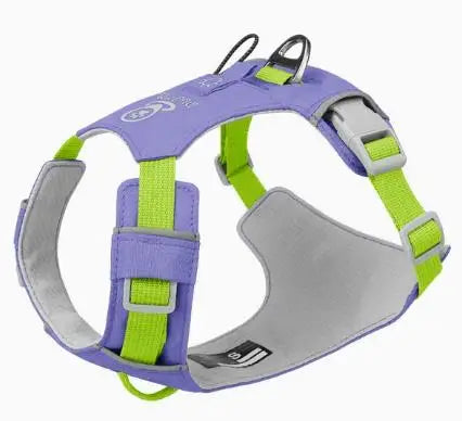 Lightweight No-Pull Reflective Dog & Cat Harness Vest