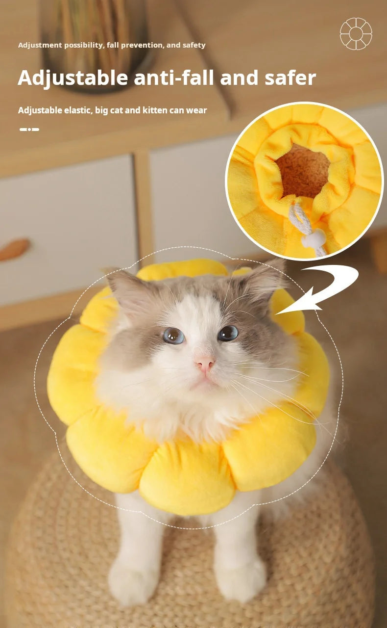 Collerette de protection tournesol – Cône élisabéthain en coton doux pour chats et chiens