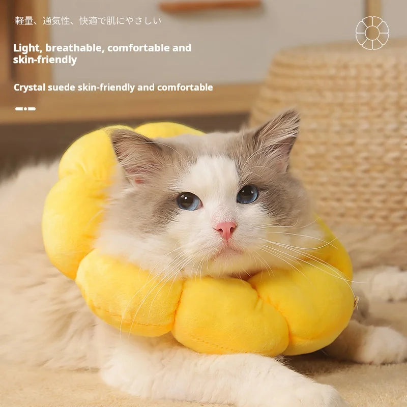 Collerette de protection tournesol – Cône élisabéthain en coton doux pour chats et chiens