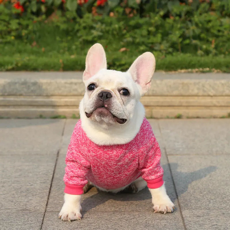 Winter Pet Jacket - Warm Coat for Dogs and Cats