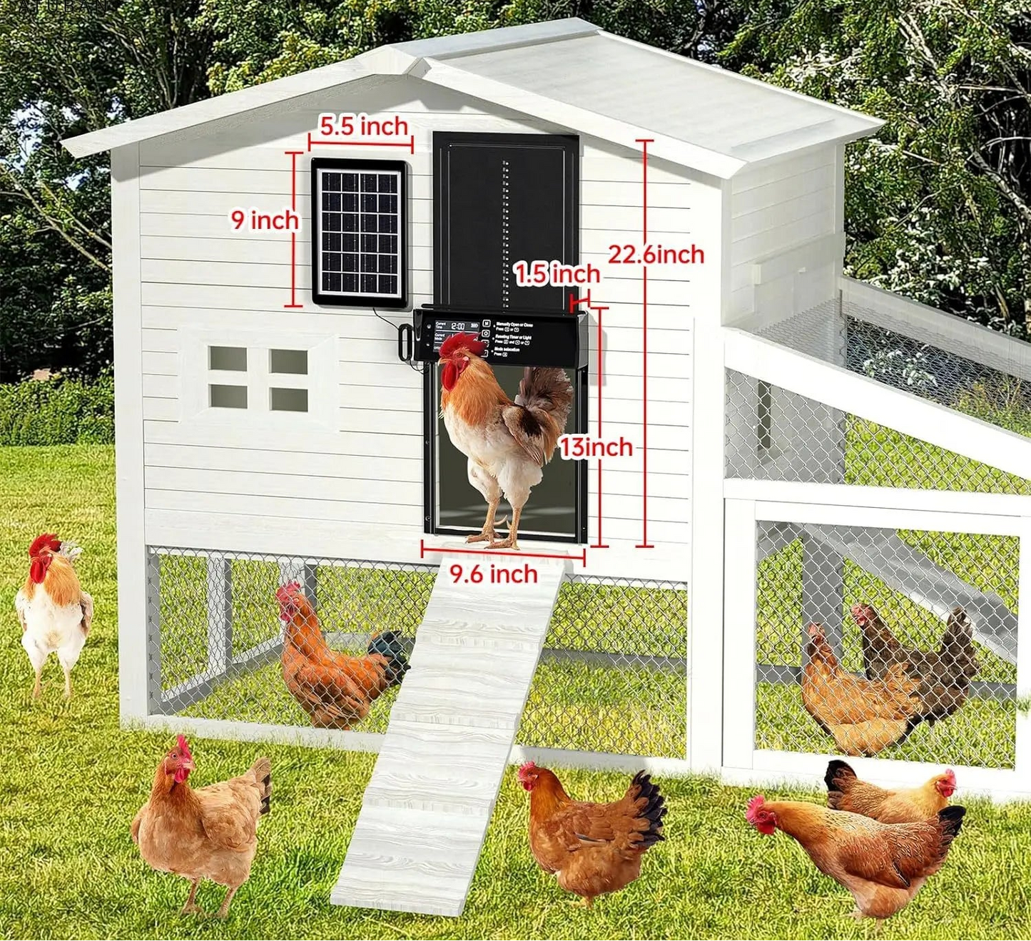 Automatic Chicken Coop Door - Solar Powered with Timer & Light Sensor