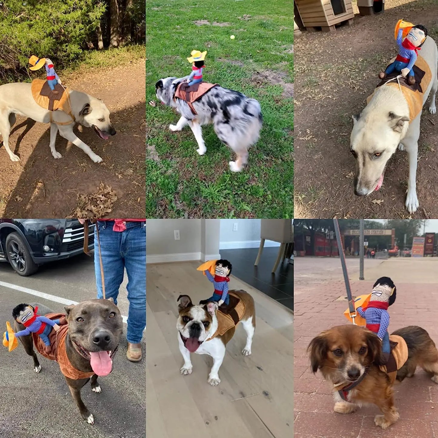 Cowboy Costume Jacket for Small Dogs
