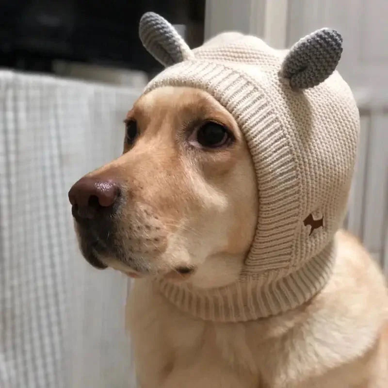 Knitted Winter Hat for Medium & Large Dogs