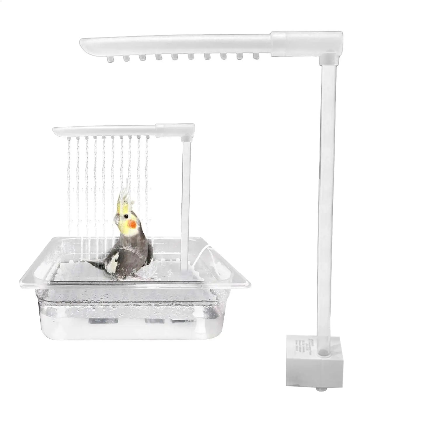 Automatic Bird Bath Fountain with USB Pump for Parrots & Cage Birds
