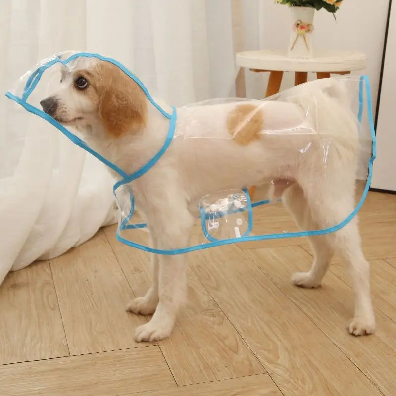 Transparent Waterproof Raincoat for Small & Medium Dogs