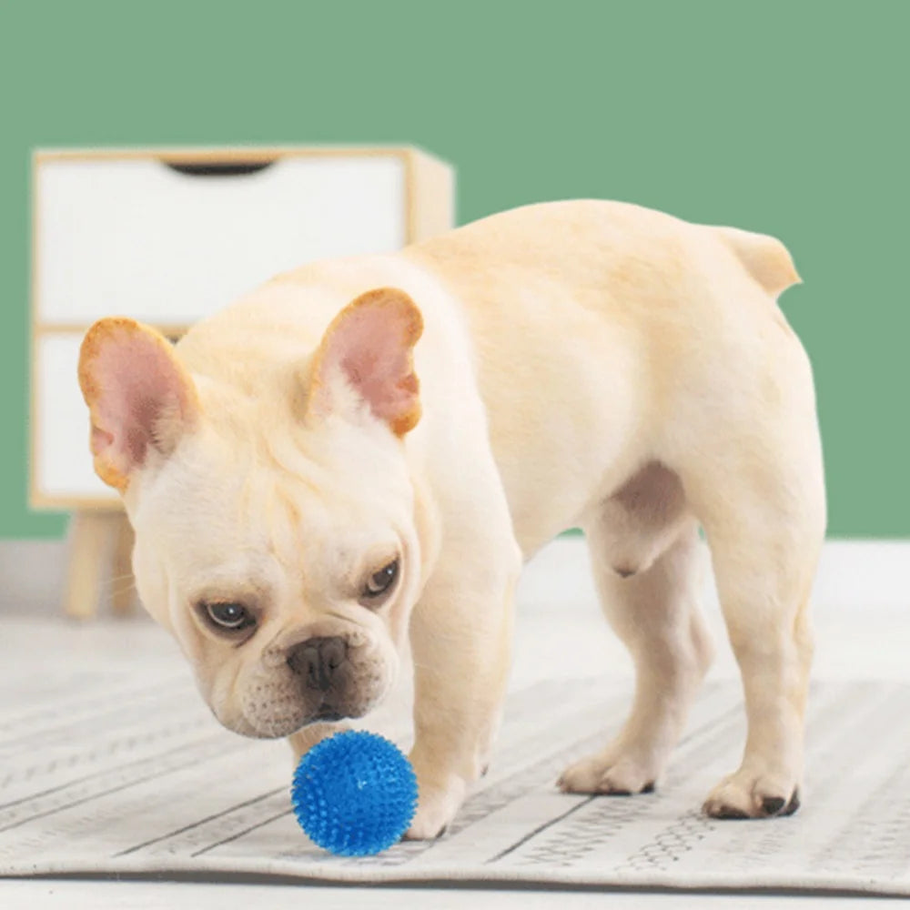 Squeaky Rubber Play Ball for Dogs