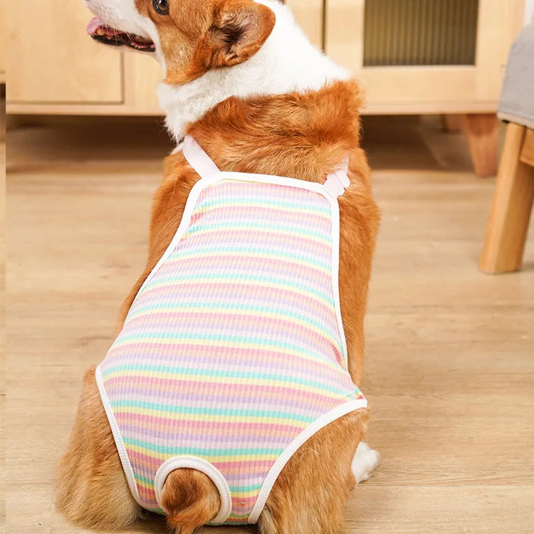 Striped Adjustable Physiological Shorts for Female Dogs