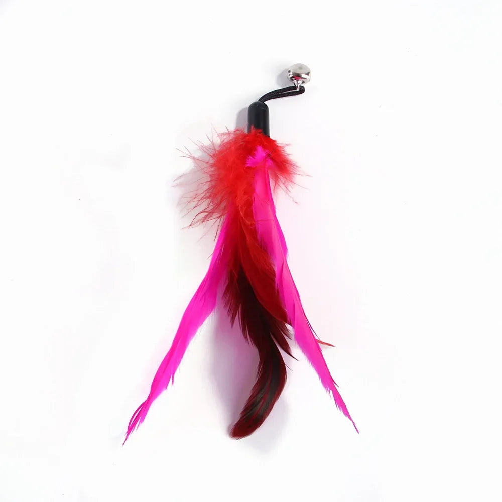 Feather Wand Cat Toy with Bell & Worm String - Interactive Teaser Set