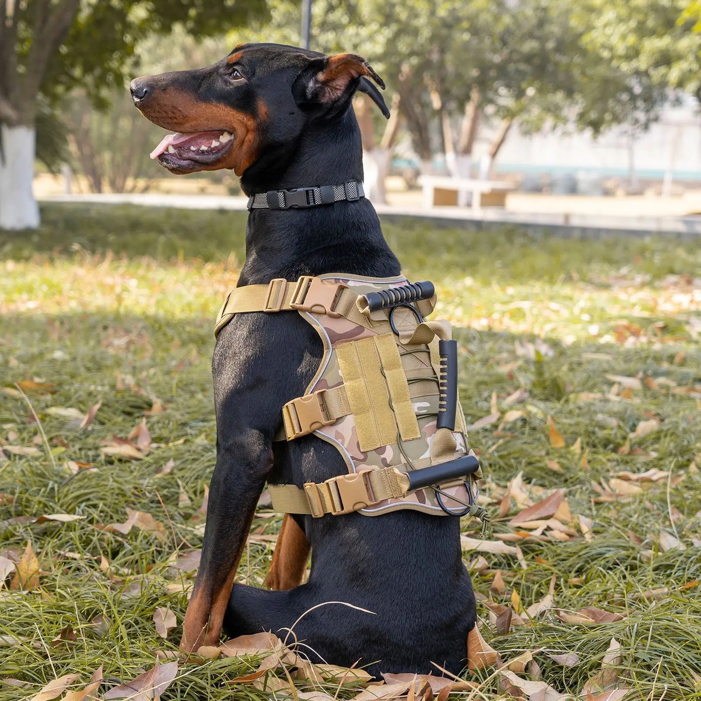 Gilet tactique militaire avec harnais et laisse pour grands chiens