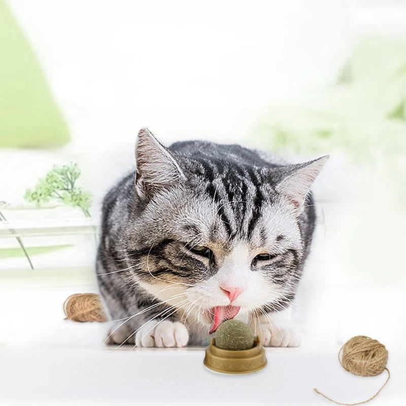 Natural Catnip Wall Ball