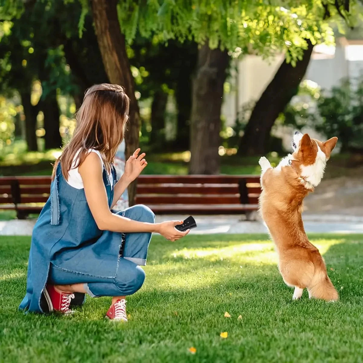 Ultrasonic Anti-Bark Dog Training Device with LED