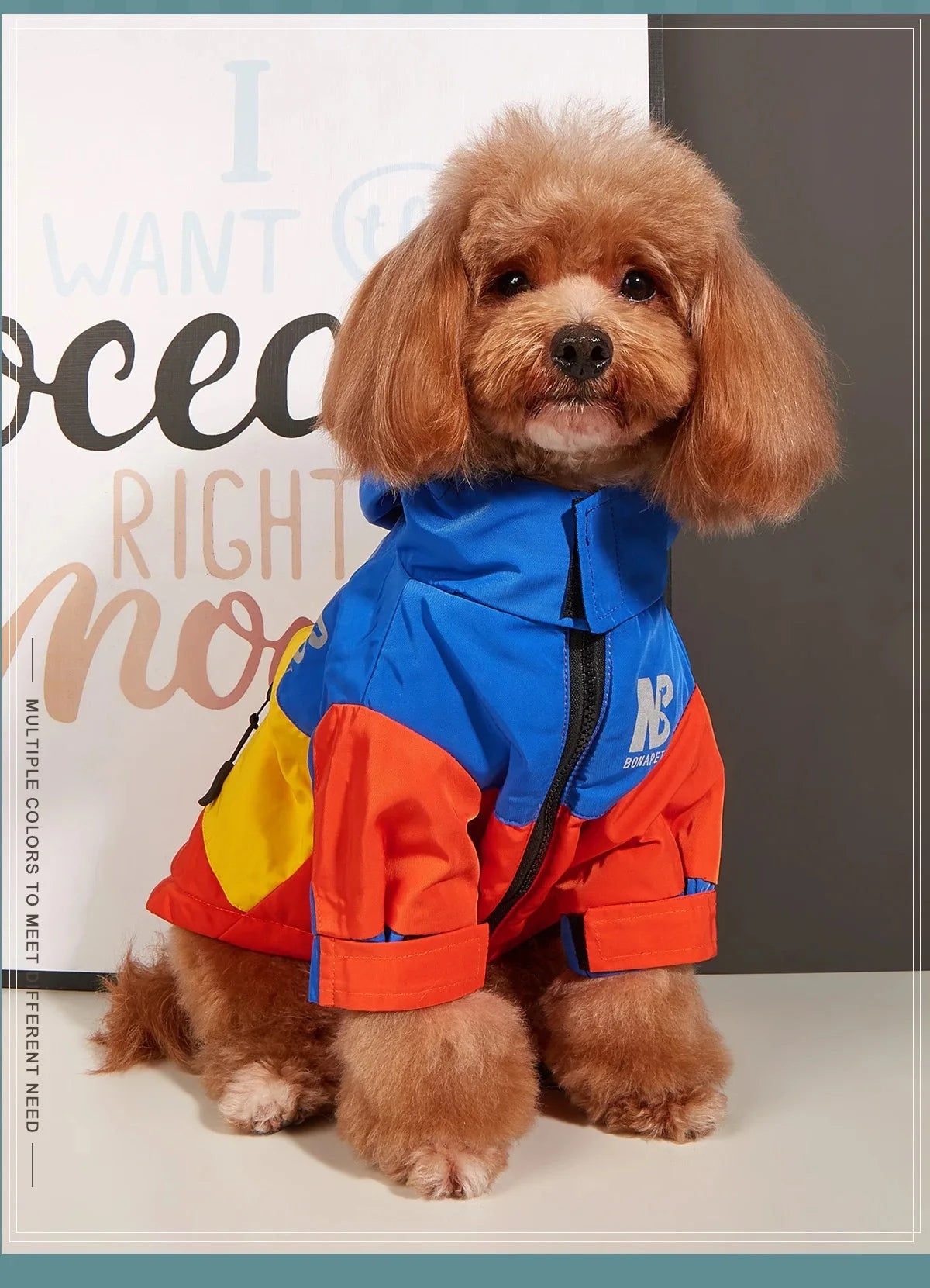 Waterproof Hooded Dog Raincoat & Sport Hoodie