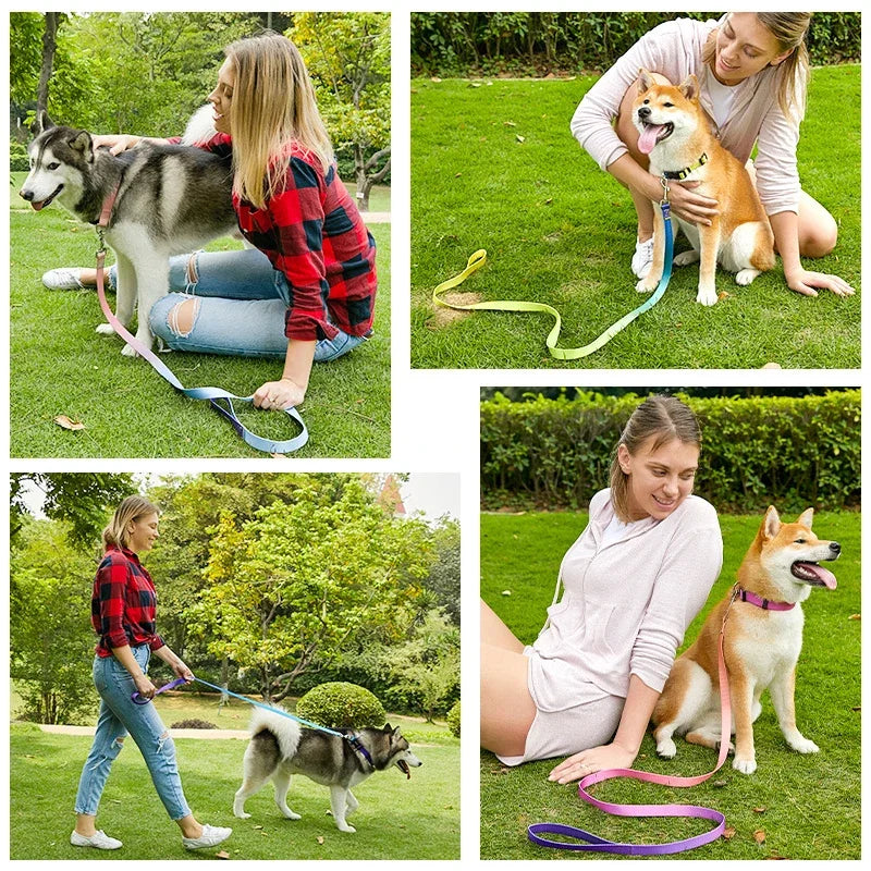 Ensemble laisse et collier réglables en nylon pour chiens - Pour petits et grands chiens