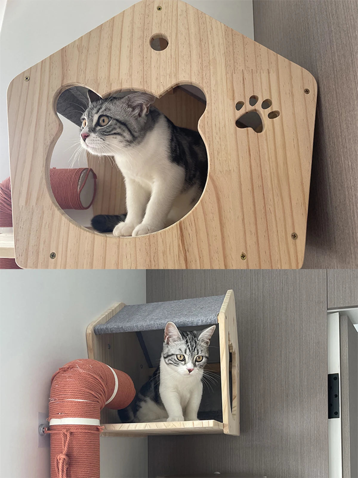 Wall-Mounted Cat Climbing Shelves & Hideaway Houses